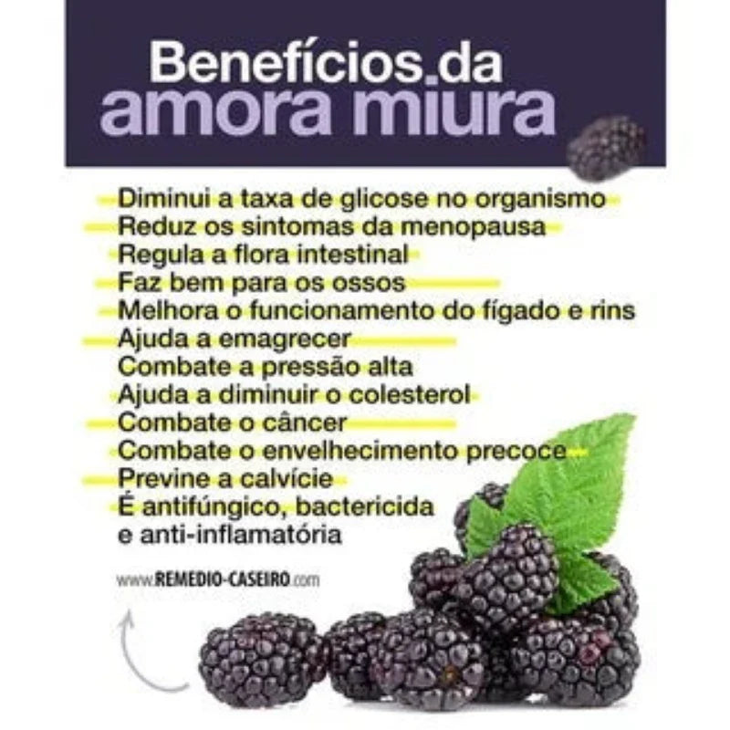 Amora Miúra Original - Aumente sua Saúde e Bem-Estar